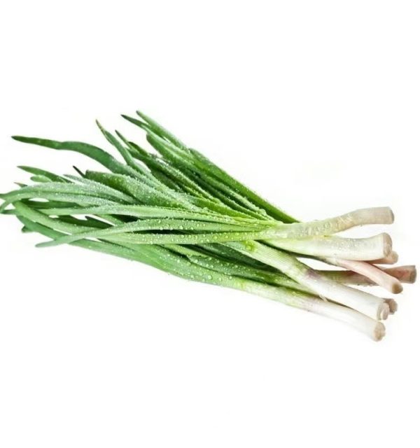 Green onion