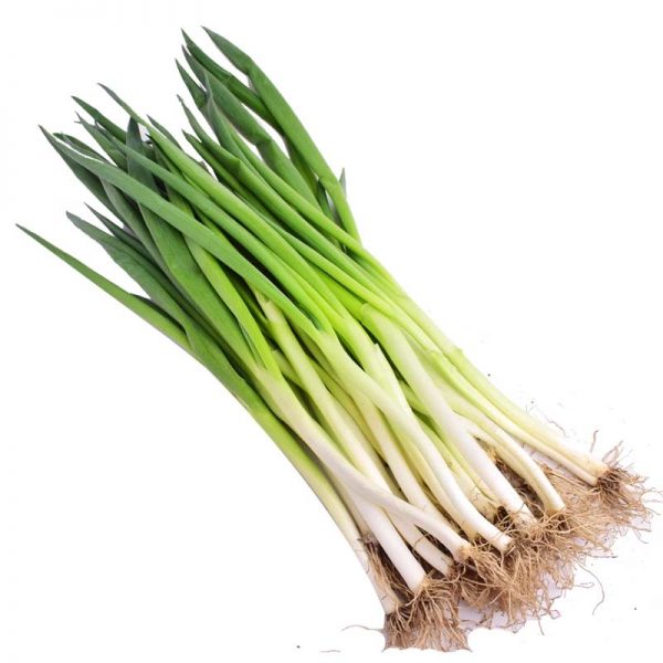 Green onion