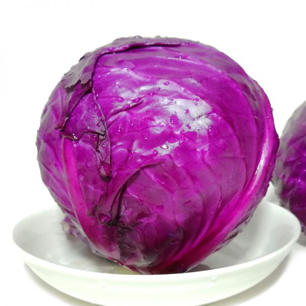 Purple cabbage