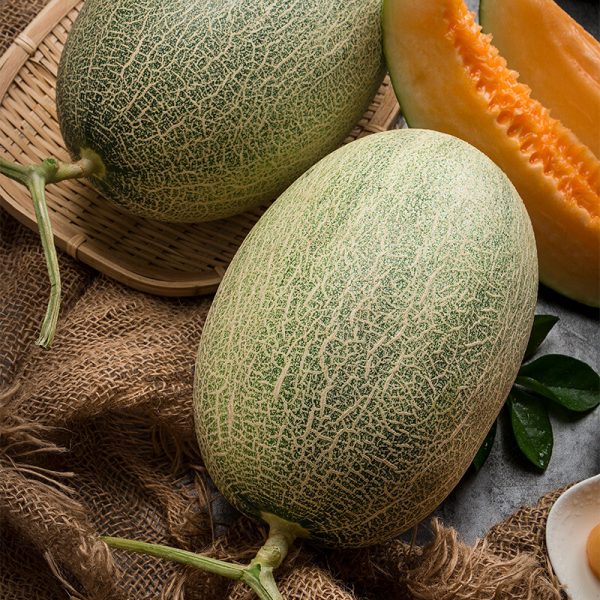 honeydew melon