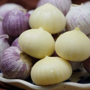 Garlic