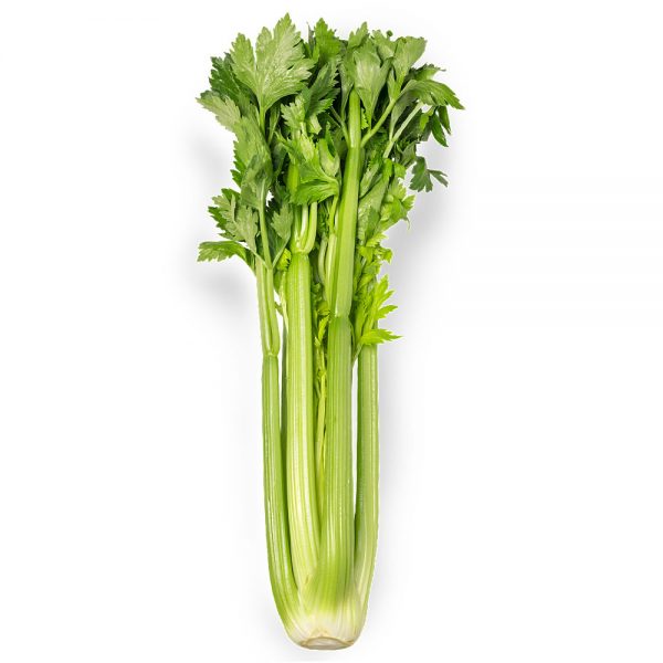 Celery