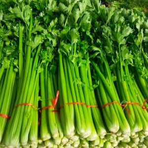 Celery